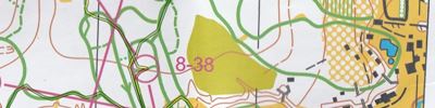 Orienteering map - Чемпионат Ярославской области
