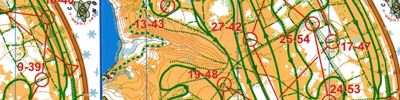 Orienteering map - Мос. Зима в Царицыно