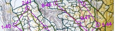 Orienteering map - Чемпионат Беларуси лонг