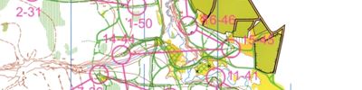 Orienteering map - Лыжные вузы