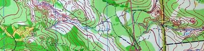 Orienteering map - Кавминводская параллель 2019, 1 этап, Бештау