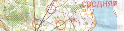 Orienteering map - тренировочный старт