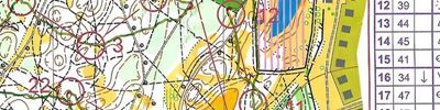 Orienteering map - Тренировка (Сормово)