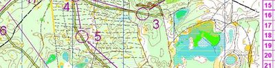 Orienteering map - Чемпионат Нижегородской области