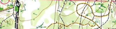Orienteering map - Московский компас 2019