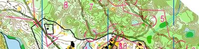 Orienteering map - Чемпионат ПФО, 2 день