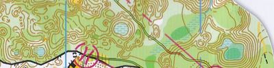 Orienteering map - Чемпионат Приволжского федерального округа. Классическая - общий старт. 2й круг.
