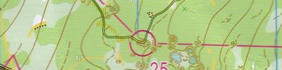 Orienteering map - Чемпионат Приволжского федерального округа. Кросс многодневный.