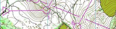 Orienteering map - Чемпионат ЦФО