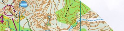 Orienteering map - Чемпионат Нижегородской области. Классика - общий старт. 1й круг.