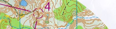 Orienteering map - Чемпионат Нижегородской области. Классика - общий старт. 2й круг.