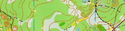Orienteering map - Чемпионат Нижегородской области. Кросс - лонг. 1я карта.