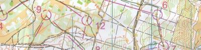 Orienteering map - Чемпионат области