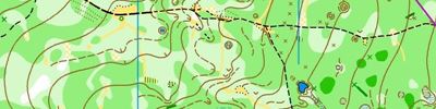 Orienteering map - Чемпионат Нижегородской области - лонг