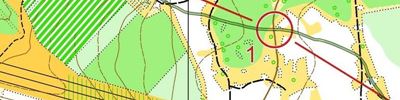 Orienteering map - Мемориал Лебединского 2019. Пролог 2.