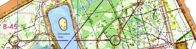 Orienteering map - Московский Меридиан, весна 2019, этап 12