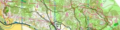 Orienteering map - ПФО