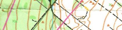 Orienteering map - ЧО 2019 классика