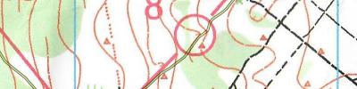 Orienteering map - ЧО 2019 эстафета 2 этап