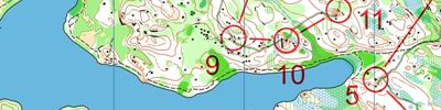 Orienteering map - Чемпионат России