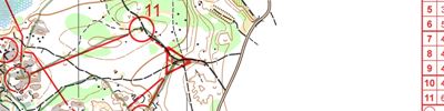 Orienteering map - Чемпионат России