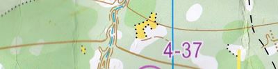 Orienteering map - Вачский азимут 2019. Спринт.