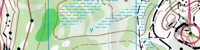 Orienteering map - Кубок Карельского перешейка 2019. 1-й день.