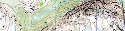 Orienteering map - ККП-2019, 3 день