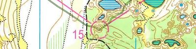 Orienteering map - Волжские просторы 2019