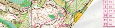 Orienteering map - Aino