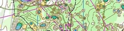 Orienteering map - Волжские Просторы 2019, 2 день