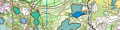 Orienteering map - Волжские Просторы 2019, 3 день