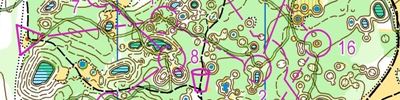 Orienteering map - Волжские Просторы 2019 4 день