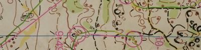 Orienteering map - Памяти друзей