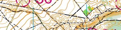 Карта за ориентиране - World Masters Orienteering Championships 2019. Model for Forest Qualification and Middle Final.
