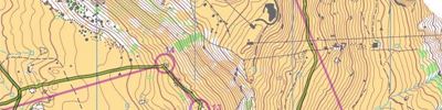 Orienteering map - SOW-2019 4 день