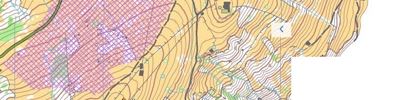 Orienteering map - SOW-2019 6 день