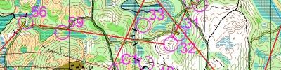 Orienteering map - Всероссийские сорвенования