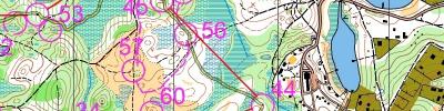 Orienteering map - Всероссийские сорвенования