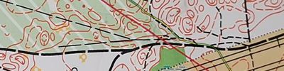 Orienteering map - Эстафета "Дубравушка 2019" 