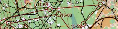 Orienteering map - mtbo, Чемпионат России, Ковров, эстафета