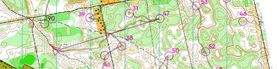 Карта спортивного ориентирования - Чемпионат ЦФО