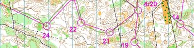 Карта спортивного ориентирования - Чемпионат ЦФО