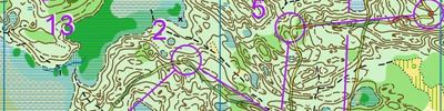 Orienteering map - Тренировка в Чудиново