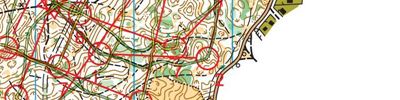 Orienteering map - Тренировка в Решетихе