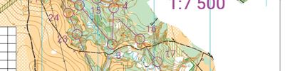 Orienteering map - Неправельная классика или лонг