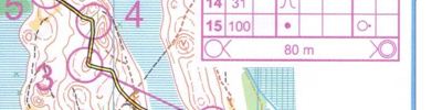 Orienteering map - Волга 2018. 4 день.