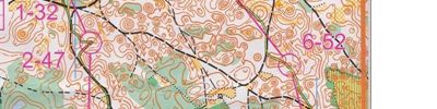 Orienteering map - Сосновый дебош. Эстафета