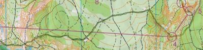 Карта за ориентиране - Чемпионат Нижегородской области. 1 круг