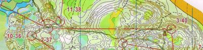 Карта за ориентиране - Чемпионат Нижегородской области. Классика